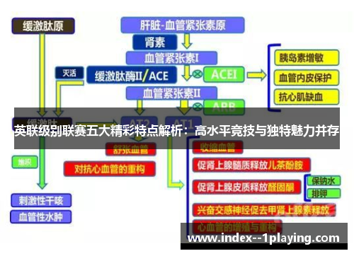 英联级别联赛五大精彩特点解析：高水平竞技与独特魅力并存