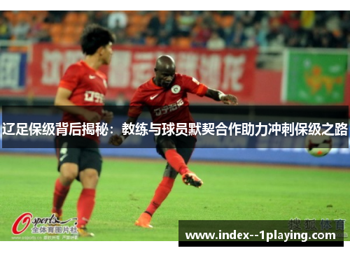 辽足保级背后揭秘：教练与球员默契合作助力冲刺保级之路